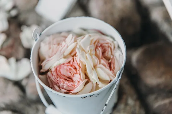Detailaufnahme von rosa Gartenrosen in einem kleinen weißen Metalleimer