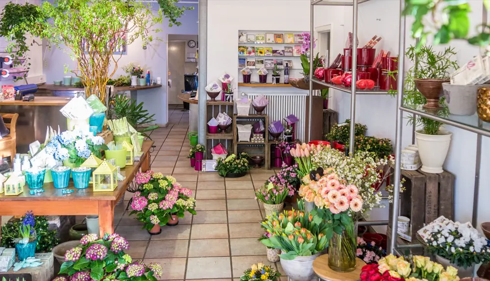 Blick in den Laden von Blumen Jüttemeier: Tische und Eimer mit Hortensien, Tulpen und Rosen