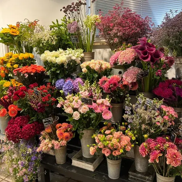 Große Auswahl frischer Schnittblumen in vielen Farben im Laden