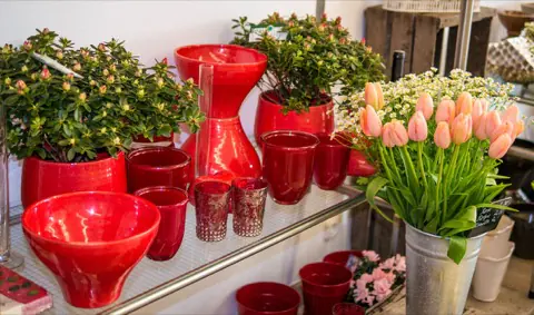 Rote Keramikgefäße, Azaleen und rosa Tulpen auf einer Glasablage